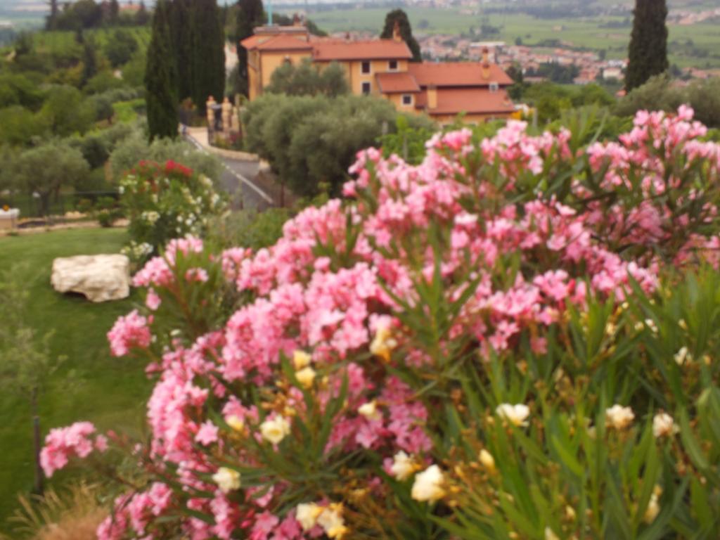 Villa Oleandri San Pietro in Cariano Cameră foto